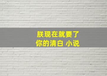 朕现在就要了你的清白 小说